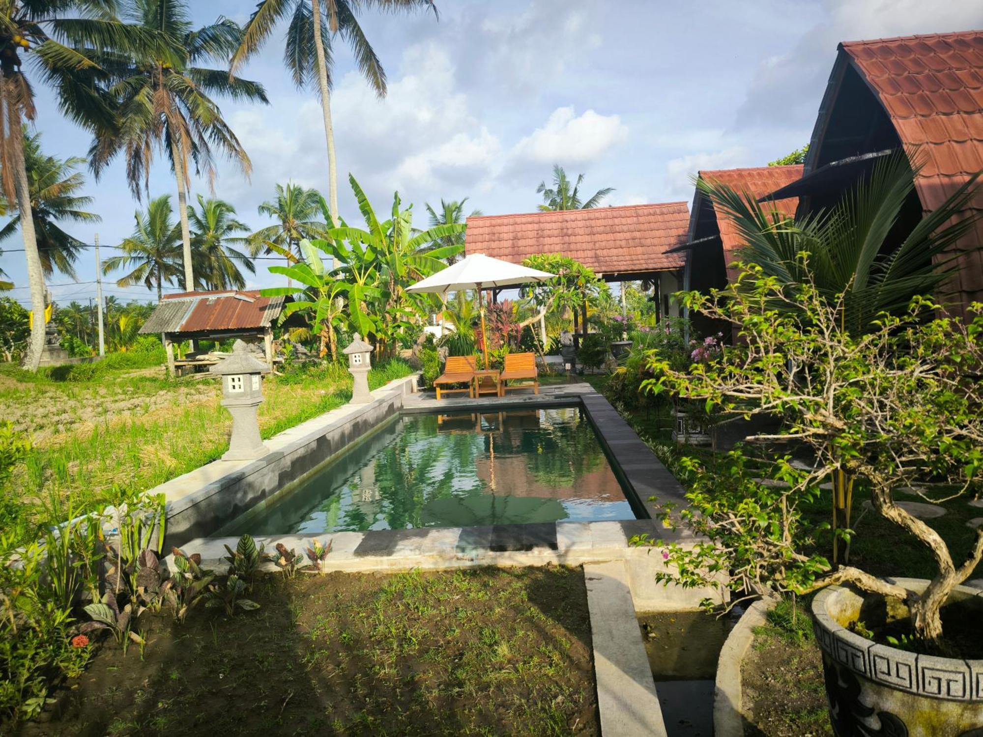 Eling Ubud Guesthouse エクステリア 写真